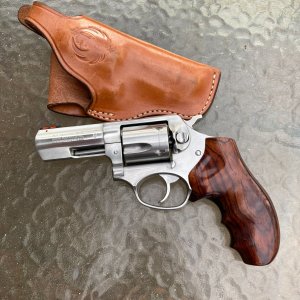 SP101_8.JPG