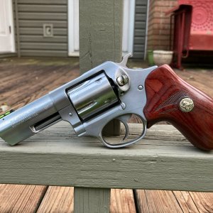SP101_17.JPG