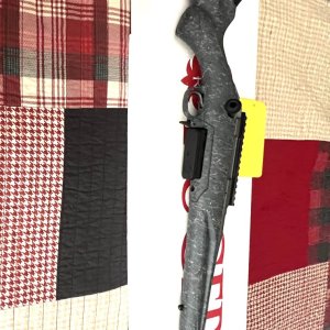 IMG_1467.jpeg