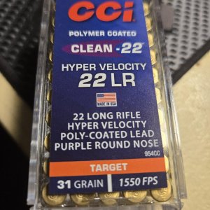 CCI CLEAN 22lr 31 grain .jpg