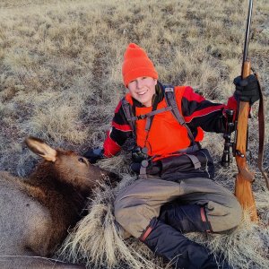 2024 elk.jpg