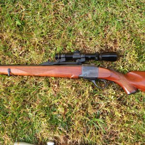 RIMG0539.JPG