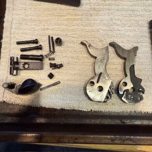 ruger 11.jpg