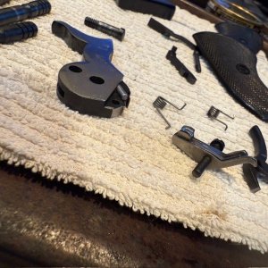 ruger 21.jpg
