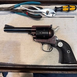 ruger 22.jpg