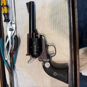 ruger 23.jpg