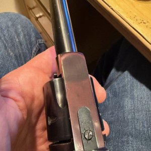 ruger 24.jpg