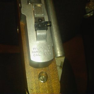 Mini-14-1.jpg