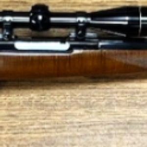 rifle.PNG