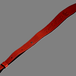 sling.PNG