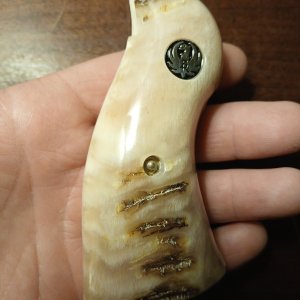 20260309_170845.jpg