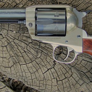 p2.JPG