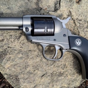 Ruger Wrangler 1.jpg