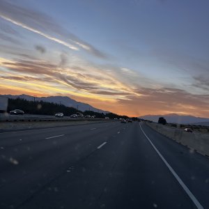 IMG_7666.jpeg