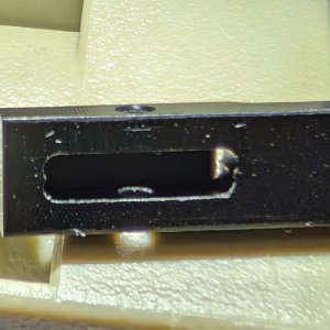 1000020034.jpg