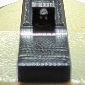 1000020035.jpg