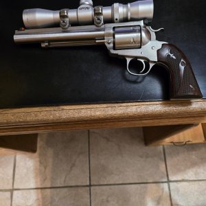 Ruger Bisley Super Blackhawk.jpg