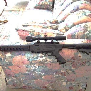 GEDC0282-zps45cd69ef.jpg