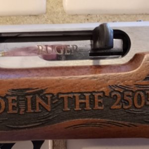 250 Receiver.jpg