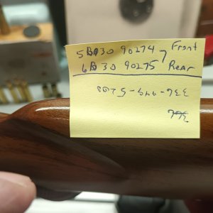 1000010437.jpg