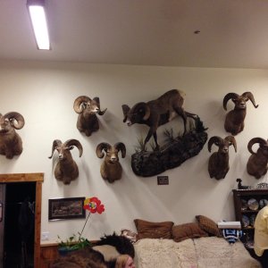 IMG_1777.jpeg