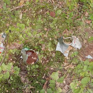 cans2.jpg
