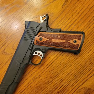 Molon Labe full pistol.jpg