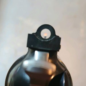 Ruger Peep 7-24-22.jpg