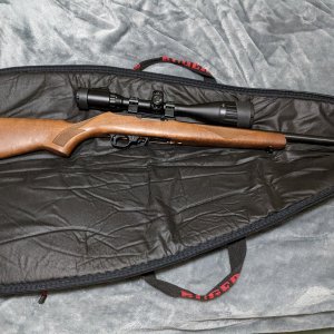 Ruger LVT project.jpg