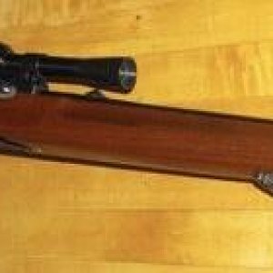 1022carbine1966004.jpeg