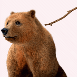 IMG_4325.gif
