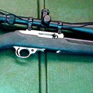 Ruger 10 22 from Glenn.jpeg