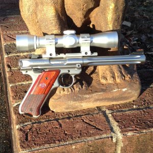 Ruger Hunter Mark 4 b.JPG