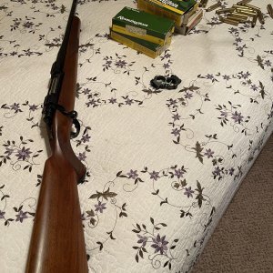 IMG_2283.jpeg