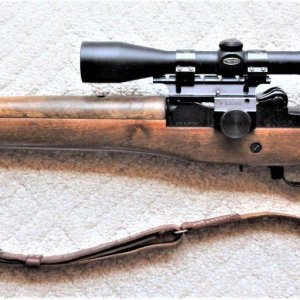 Ruger Mini-14 5.56 -1.JPG