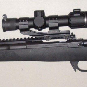 Ruger Gunsite Scout.JPG