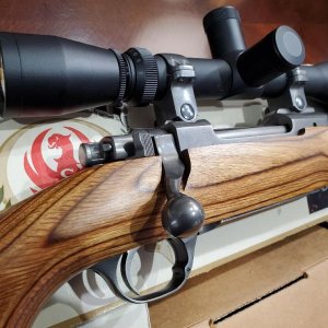 m77 2.jpg