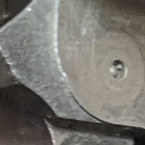 IMG_6977.jpeg