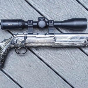 Ruger American Target Thumbhole .22  2.jpg
