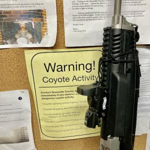 IMG_7953.jpeg