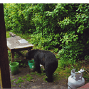 Smokey 2.png