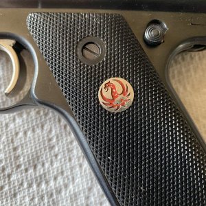 IMG_9030.jpeg