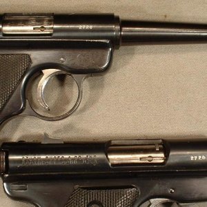 a pair 2720 near.JPG