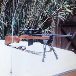 IMG_3920.jpeg