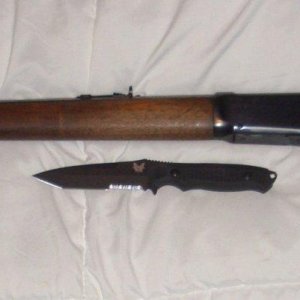 Winchester and Nimravus 001.JPG