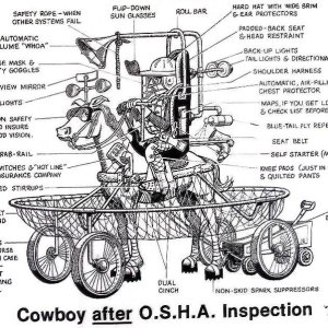 osha_cowboy.jpg