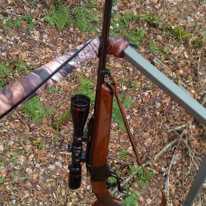 Ruger 1-A Cropped.JPG
